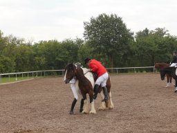 2014 Jubilæum 5 år